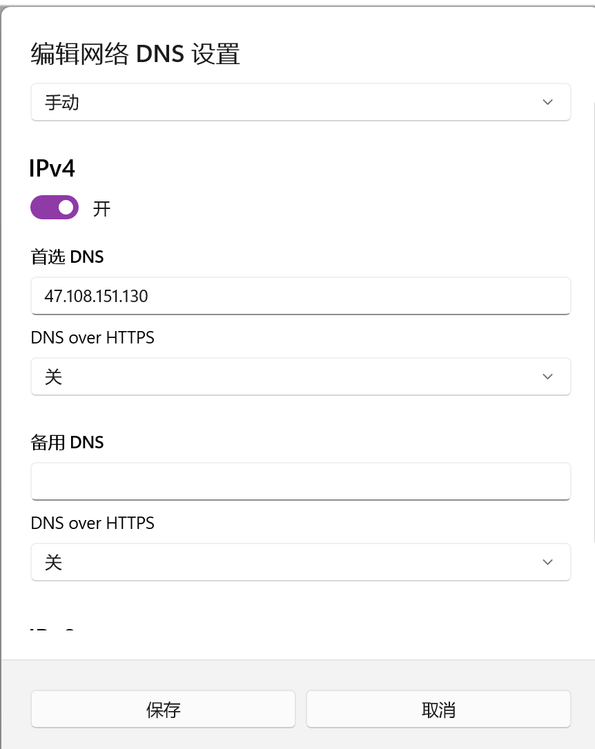 大挪耗谈谈私人dns